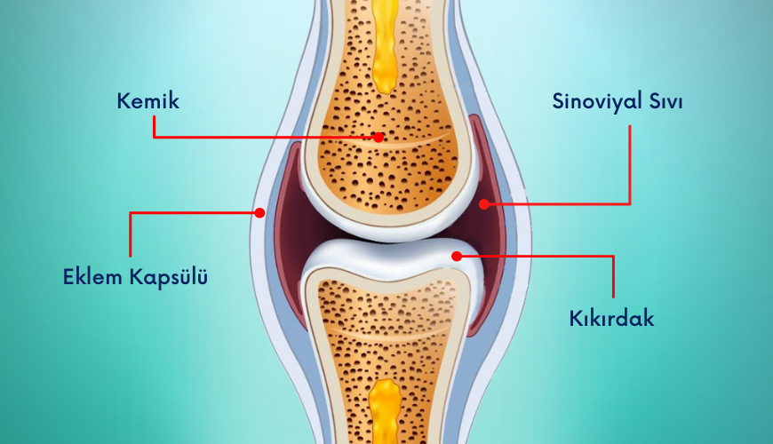 Does Knee Fluid Increase?